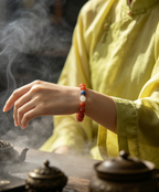 South Red Agate × Kyanite × Clear Quartz Bracelet